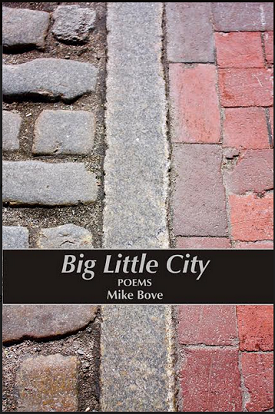 Big Little City